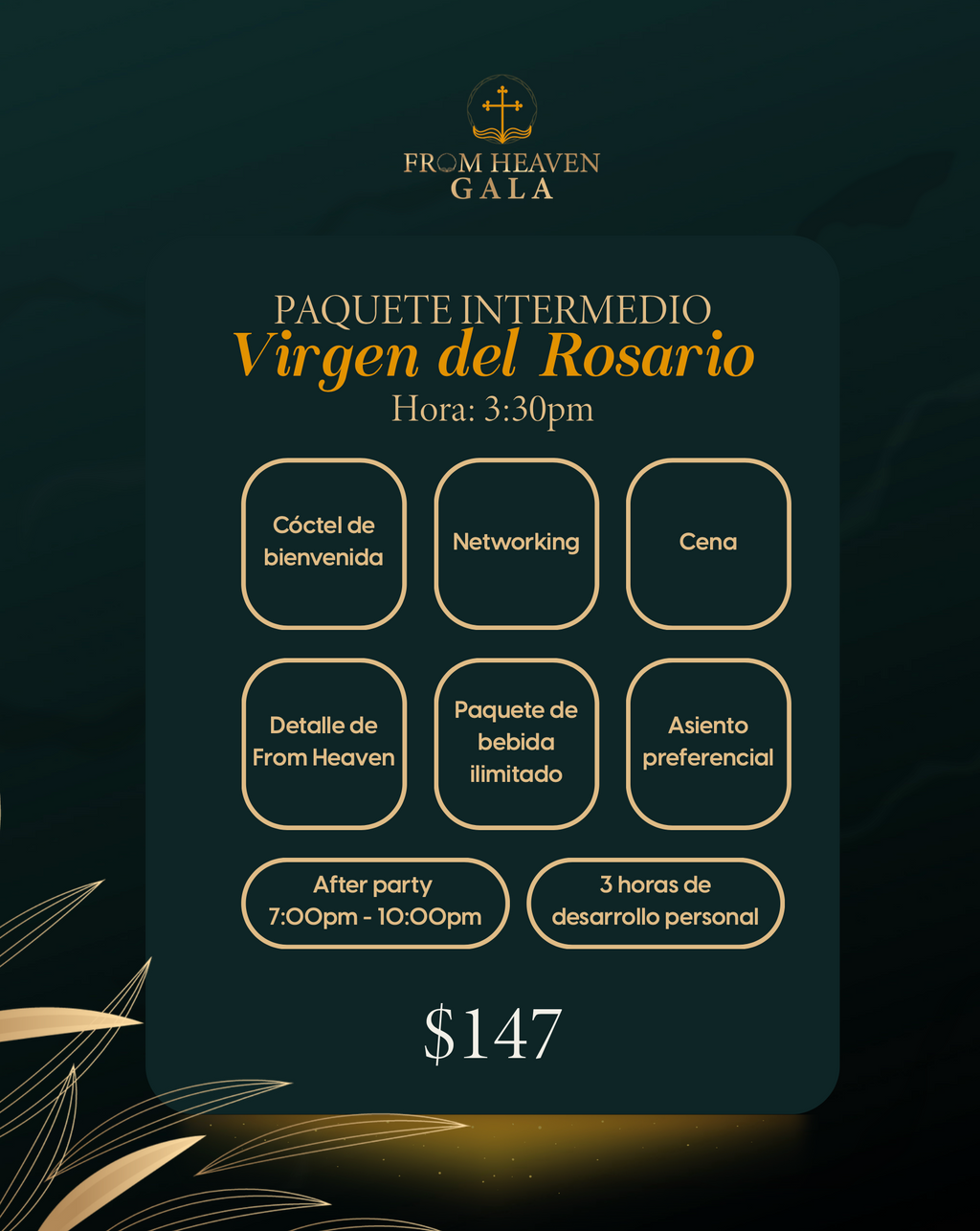 Paquete Intermedio Virgen Del Rosario