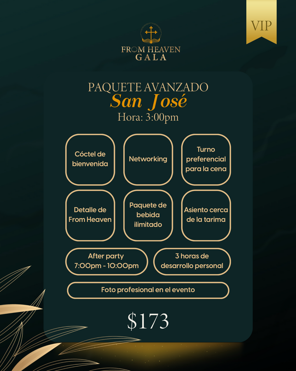 Paquete VIP San José